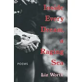 Inside Every Dream, a Raging Sea