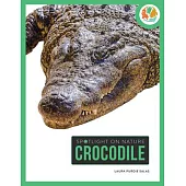 Crocodile