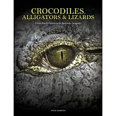 Crocodiles, Alligators & Lizards: From Black Caimans to Komodo Dragons