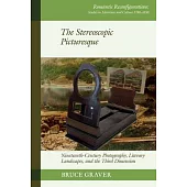 The Stereoscopic Picturesque: Nineteenth-Century Photography, Literary Landscapes, and the Third Dimension