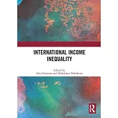 International Income Inequality