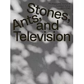 Zygmunt Rytka: Stones, Ants, and Television