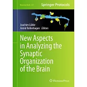New Aspects in Analyzing the Synaptic Organization of the Brain