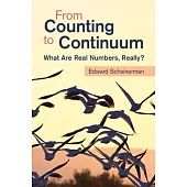 From Counting to Continuum: What Are Real Numbers, Really?