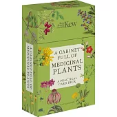 A Cabinet Full of Medicinal Plants: A Practical Card Deck