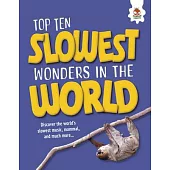 Top Ten Slowest Wonders in the World