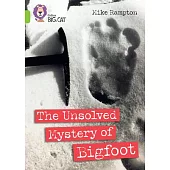 Non-Fiction 8: Band 11/Lime
