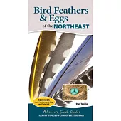 Bird Feathers & Eggs of the Northeast: Identify 40 Species of Common Backyard Birds