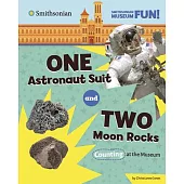 One Astronaut Suit and Two Moon Rocks: Counting at the Museum