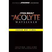 Untitled Adult SW Novel