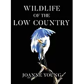Wildlife of the Low Country