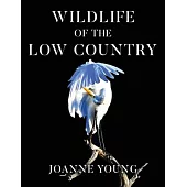 Wildlife of the Low Country