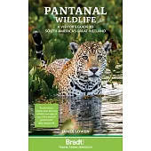 Pantanal Wildlife: A Visitor’s Guide to South America’s Great Wetland