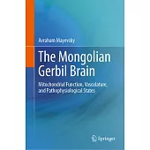 The Mongolian Gerbil Brain: Mitochondrial Function, Vasculature, and Pathophysiological States
