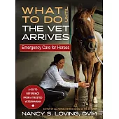 What to Do Until the Vet Arrives: Emergency Care for Horses