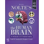 Nolte’s the Human Brain: An Introduction to Its Functional Anatomy