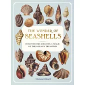 The Wonder of Seashells: Discover the Meaning and Magic of the Ocean’s Treasures