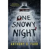 One Snowy Night