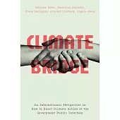 Climate Bridge: An International Perspective on How to Enact Climate Action at the Government Public Interface