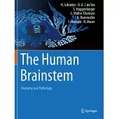 The Human Brainstem: Anatomy and Pathology