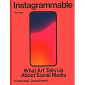 Instagrammable: What Art Tells Us about Social Media