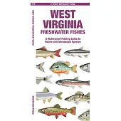 West Virginia Freshwater Fishes: A Waterproof Folding Guide to Native and Introduced Species