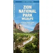 Zion National Park Wildlife