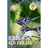 Birds of New England: Timber Press Field Guide