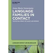 Language Families in Contact: The Mutual Impact of Slavic and Romani