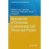 Remediation of Chromium-Contaminated Soil: ​theory and Practice​