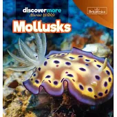 Mollusks