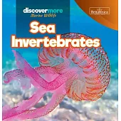 Sea Invertebrates