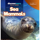 Sea Mammals