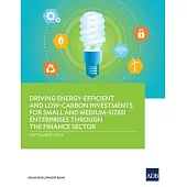 Driving Energy-Efficient and Low-Carbon Investments for Small and Medium-Sized Enterprises through the Finance Sector