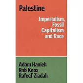 Palestine: Imperialism, Fossil Capitalism and Race