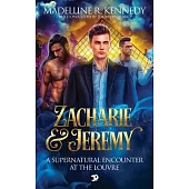 Zacharie & Jeremy - A supernatural encounter at the Louvre (A Halloween queer MxM urban fantasy - short story)