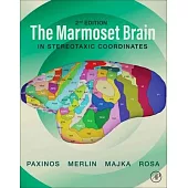 The Marmoset Brain in Stereotaxic Coordinates
