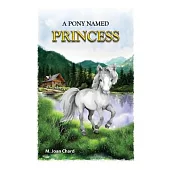 A Pony Named Princess