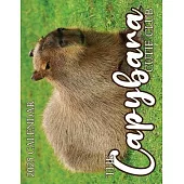 The Capybara Cutie Club 2025 Calendar