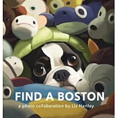 Find a Boston