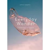 Everyday Wonder