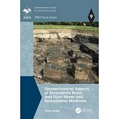 Geomechanical Aspects of Abandoned Room and Pillar Mines and Remediation Measures