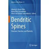 Dendritic Spines: Structure, Function, and Plasticity