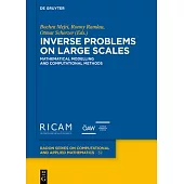 Inverse Problems on Large Scales: Mathematical Modelling and Computational Methods