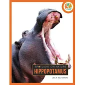 Hippopotamus