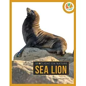 Sea Lion
