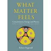 What Matter Feels: Consciousness, Energy and Physics (How Science can Explain Minds)