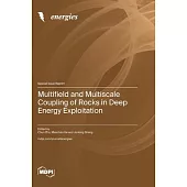 Multifield and Multiscale Coupling of Rocks in Deep Energy Exploitation