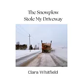 The Snowplow Stole My Driveway