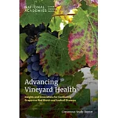 Advancing Vineyard Health: Insights and Innovations for Combating Grapevine Red Blotch and Leafroll Diseases